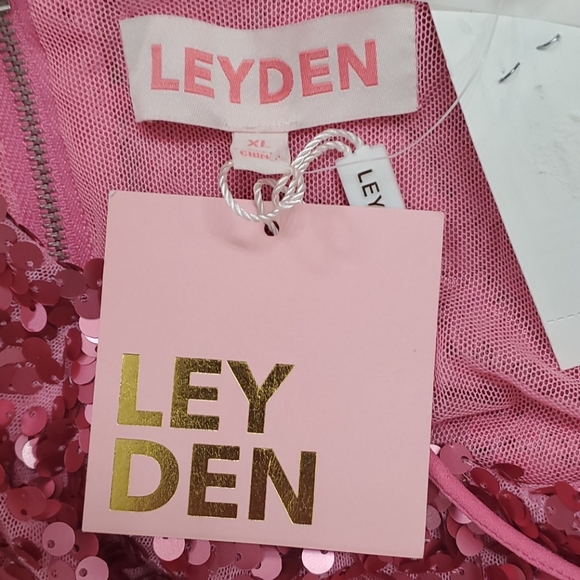 Leyden Dress - Picture 4 of 4